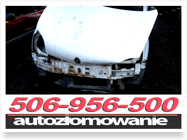 złomowanie Niepołomice, skup samochodów Niepołomice,pl-autozlomowanie.pl